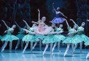 תיאטרון הבלט הלאומי של רוסיה בניהולו של ויאצ'סלב גורדייב - היפהפייה הנרדמת כרטיסים