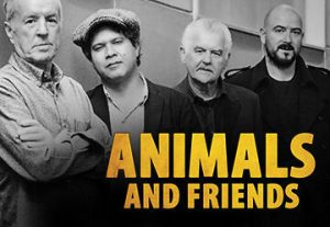 כרטיסים לAnimals and friends