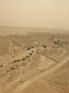 מצדה