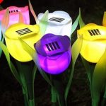 סט 10 מנורות טוליפ סולאריות